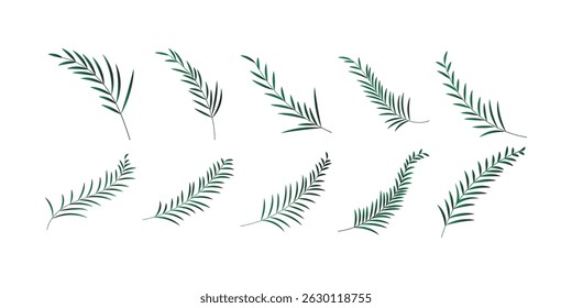 Decoración de la hoja de palma Gradiente Colección