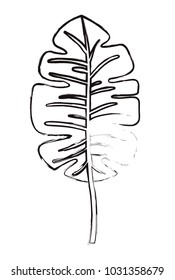palm leaf ecology icon