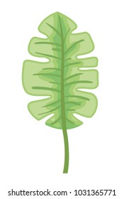 palm leaf ecology icon