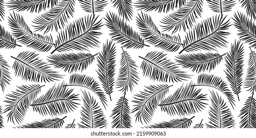 Palm leaf feather vector seamless pattern, black silhouettes on white background, summer print, jungle tree texture, foliage exotic wallpaper. Monochrome illustration