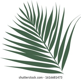 Palm leaf flat color icon