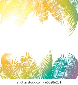 Palm leaf frame