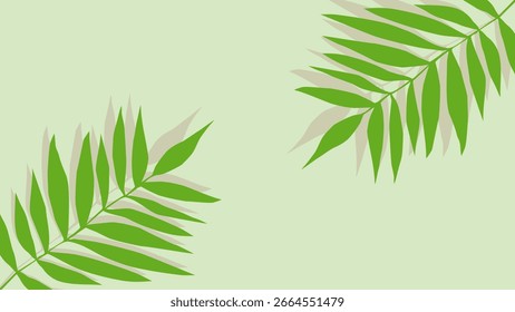 Palm leaf  and frame on a green background. Botanic tropical wallpaper with palm leaves. 