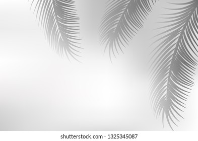 palm leaf graphic shadow illustration
