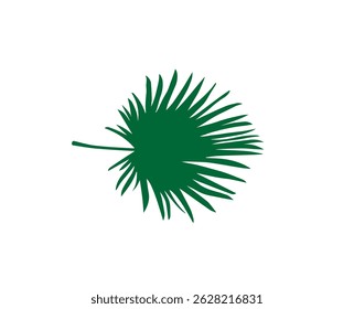 palm leaf green on a white background,