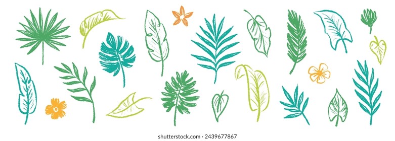 Palm leaf hand drawn crayon brush illustration. Foliage green tropical jungle leaves monstera, banana tree leaf texture silhouette elements. Hand drawn grunge black texture. Vector illustration.