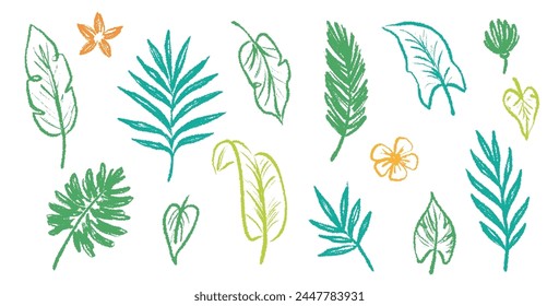 Palm leaf hand drawn crayon brush illustration. Foliage green tropical jungle leaves monstera, banana tree leaf texture silhouette elements. Hand drawn grunge black texture. Vector illustration.