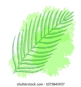 Palm leaf. Hand drawn vector illustration.