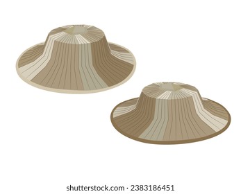 Palm leaf hat on a white background.