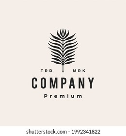 palm leaf hipster vintage logo vector icon illustration