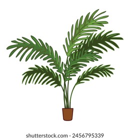 Palm leaf houseplant icon cartoon vector. Care interior office. Botanical urban