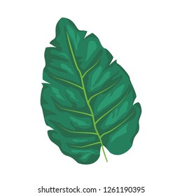 palm leaf icon