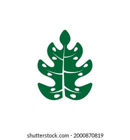 Plantilla gráfica de diseño de icono de hoja de palma aislada