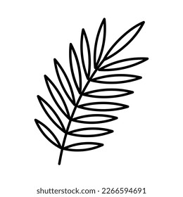 Icono de hoja de palma. Rodo gigante con hojas. Parte de la planta tropical agrícola de estilo minimalista. Ilustración botánica para una etiqueta, almacén, disposición. Icono modificable, trazo delgado