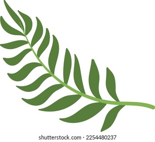 Palm leaf icon. Green jungle tree symbol