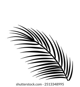 Palm leaf icon outline illustration