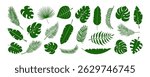 Palm leaf icon, tropic plant, cartoon jungle, green exotic coconut leaves, summer banana fern. Rainforest paradise foliage silhouette. Hawaii floral pattern isolated on white bg. Vector illustration