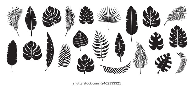 Palm leaf icon, tropical plant, banana tree, jungle leaves, exotic fern. Cartoon summer foliage, botanical set, simple black silhouettes isolated on white background. Hawaiian vector illustration