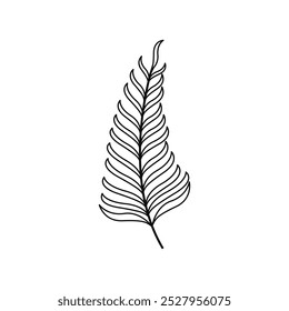 palm leaf icon vector design outline style