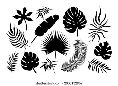 Palm leaf icons set. Black tropical plants silhouette exotic collection. Monstera, fan palm, banana, coconut palm leaves isolated on white background. Vector illustration.