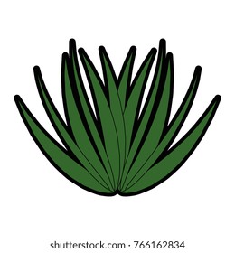 palm leaf isolated icon