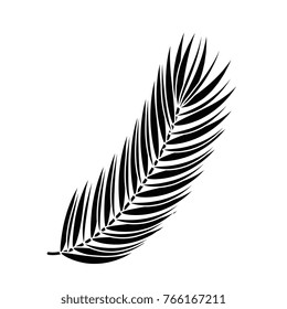 palm leaf isolated icon