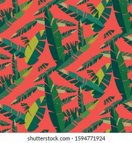 palm leaf isolated on red background