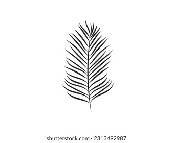 Palm leaf isolated on white background. Nature. Vector icon