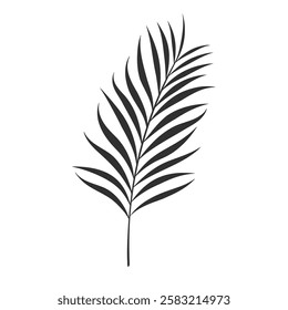 Palm leaf isolated on white background. Black palm leaf silhouette. Tropical tree. Coconut plant. Vector illustration