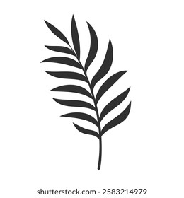 Palm leaf isolated on white background. Black palm leaf silhouette. Tropical tree. Coconut plant. Vector illustration