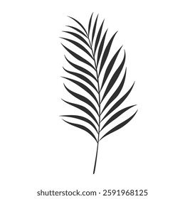 Palm leaf isolated on white background. Black palm leaf silhouette. Tropical tree. Coconut plant. Vector illustration