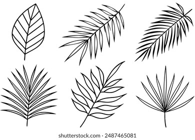 Palm Leaf line art capturing tropical essence in simple lines