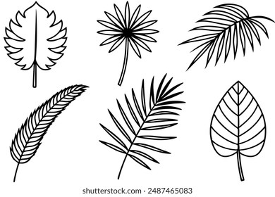 Palm Leaf line art capturing tropical elegance with simplicity