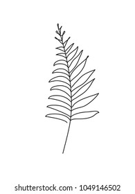 Palm Leaf Line Art. Contour Drawing. Minimalism Art. Modern Decor.