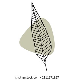 Palm leaf in line art style. Minimal tropical leaves, boho jungle leaf outline. Hand drawn vector. Botanical design element and abstract shape
