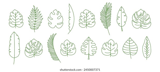 Palm leaf line icon, tropic tree, banana leaves, jungle plant, exotic foliage set outline design. Cartoon summer fern, botanical collection, simple green silhouettes. Hawaiian vector illustration