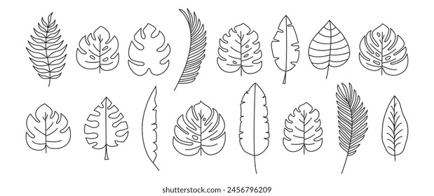 Palm leaf line icon, tropic tree, banana leaves, jungle plant, exotic foliage set outline design. Cartoon summer fern, botanical collection, simple black silhouettes. Hawaiian vector illustration