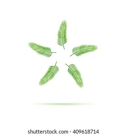 Palm leaf logo. Tropics  logo design. Five leaves symbol