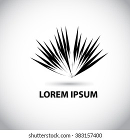 palm leaf logo. Vector
