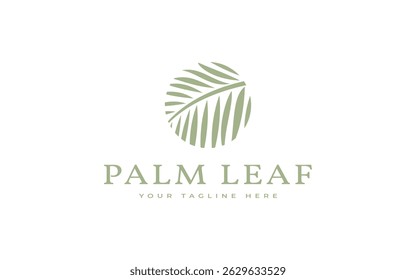 palm leaf logo vector illustration design