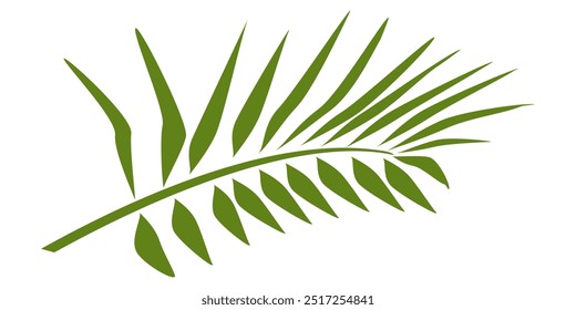 
Palmenblatt Lustration im flachen Stil, natürliche Ökosystem Blatt Vektor.