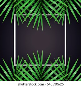 Palm leaf (MacArthur's palm) background with white frame.For summer or spring background.Vector illustration.