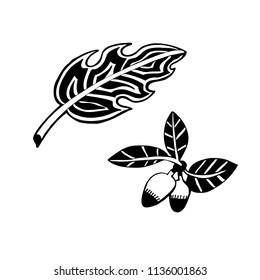 Palm leaf and mango tree branch with fruits and leaves. Monochrome graphic elements