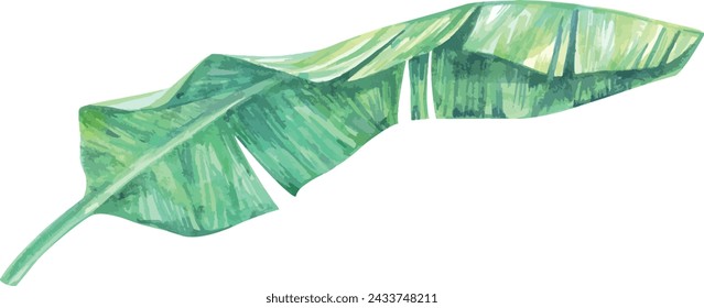 Palm leaf, monstera plant. Hand drawn watercolor plant of paradise. Tropics, jungle, exotic, paradise