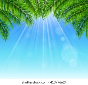 Palm leaf on blue sky with bright sun