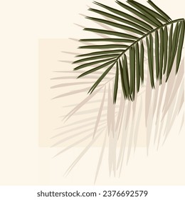 palm leaf on a sunny wall, background for cards and congratulations