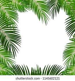 Palm Leaf on White Background with Place for Your Text Vector Illustration EPS10