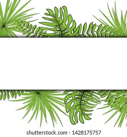 Palm Leaf on a white background Vector Illustration EPS 10