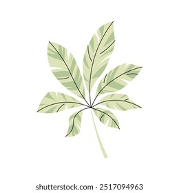 Folha de palma sobre fundo branco. Ilustração em desenho animado de folha tropical em estilo plano. Coleção de selva. Clipart de vetor para roupas, tecidos, cartões de saudação, adesivos, etc.