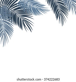 Palm Leaf on White Background with Place for Your Text Vector Illustration EPS10
